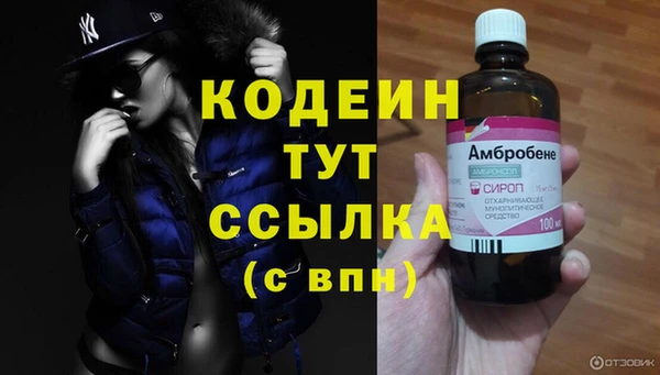 эйфоретик Алзамай