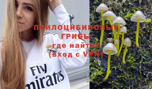 герыч Алексин